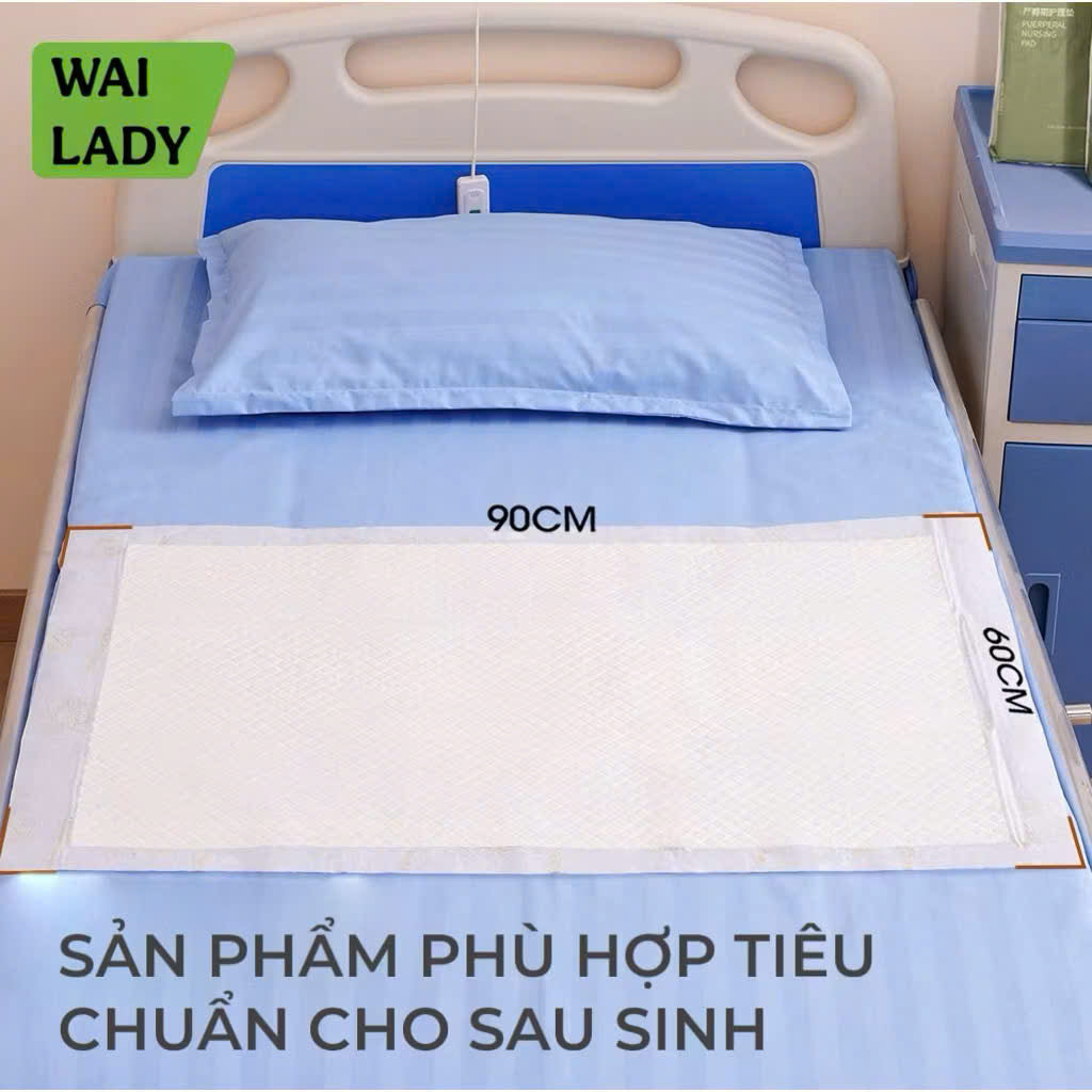 Tấm Lót WAI LADY (2 hộp 20 miếng 60x90cm)